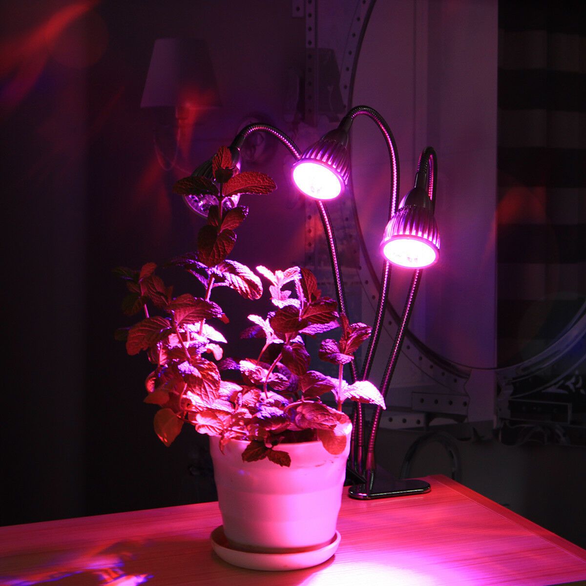 54.99 € pilno spektro 2x30W lempa augalų auginimui su tvirtinimu